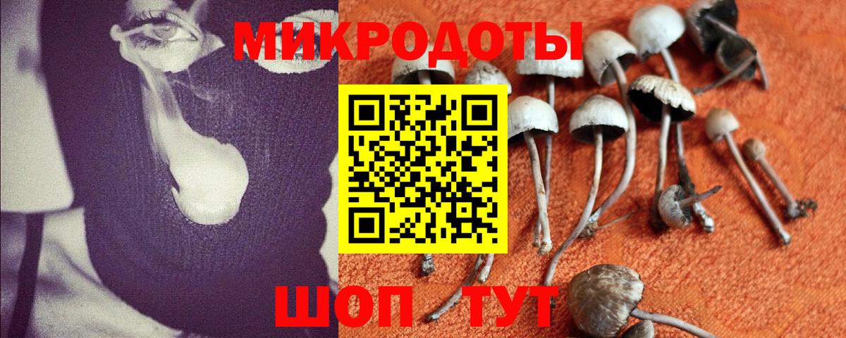 Псилоцибиновые грибы GOLDEN TEACHER Новоалександровск